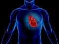 درد در کدام قسمت‌های بدن نشانه بیماری‌ قلبی است؟